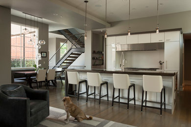 Design ideas for a contemporary kitchen in Chicago.