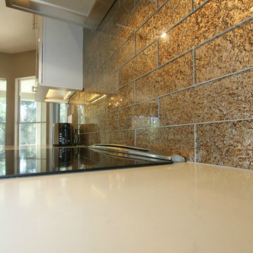 Complete Kitchen Remodel in Chuluota