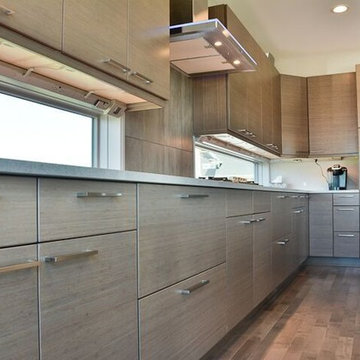complete new home with contemporary cabinetry