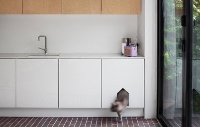 Houzz Call: Does Your Pet Have its Own Space in Your Home? Show Us!