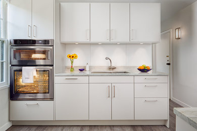 Example of a minimalist kitchen design in DC Metro