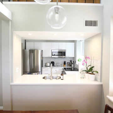 Condo renovation in NW Washington D.C