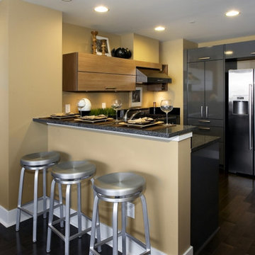 Condominium Interiors - Kitchens