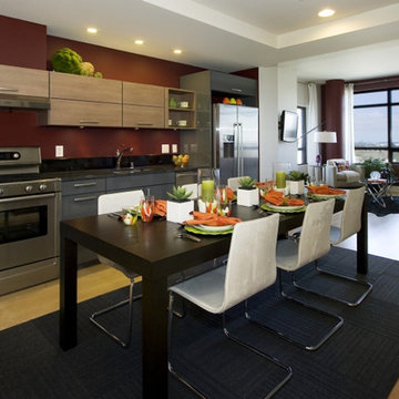 Condominium Interiors - Kitchens