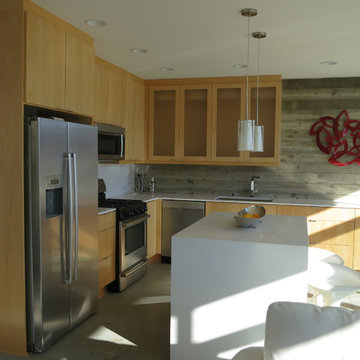 Contemporary 2unit condominium development