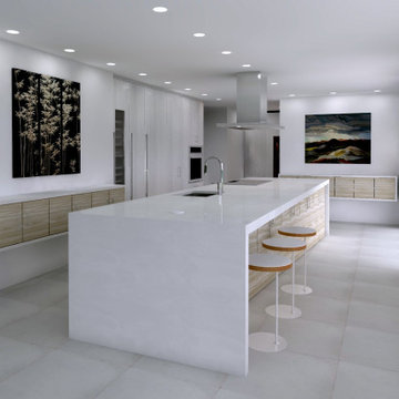 Contemporary and Minimalist Kitchen