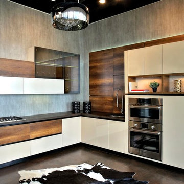 Contemporary & Transitional Kitchens