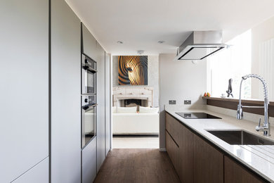 Large contemporary galley kitchen in London with a submerged sink, flat-panel cabinets, white cabinets, dark hardwood flooring and brown floors.