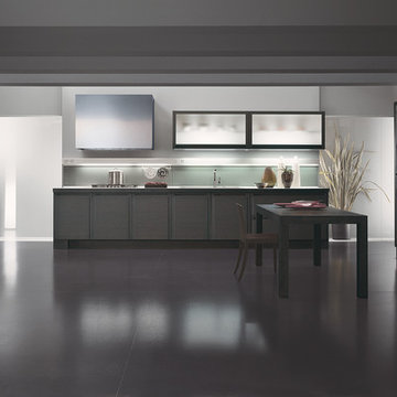 CONTEMPORARY CLASSIC KITCHENS MILANO IN SAN DIEGO