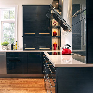 Graphite Cabinets Houzz