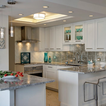Contemporary Condo Kitchen Conversion - Chicago, IL