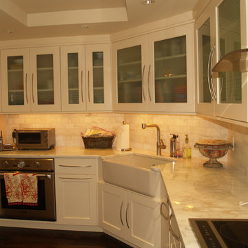 Contemporary condo kitchen