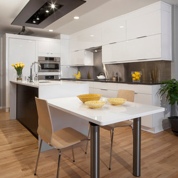 Contemporary Cooking: Ann Arbor Kitchen Remodel