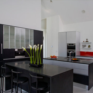 Contemporary European Style Kitchen with Aster Cucine Cabinetry