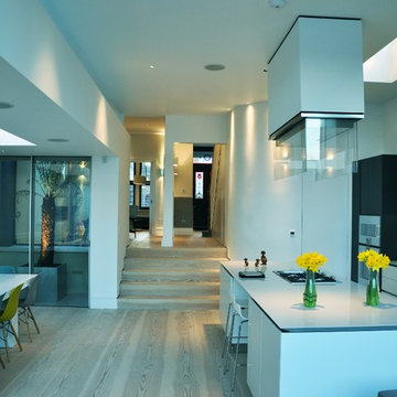 Contemporary Extension Chiswick