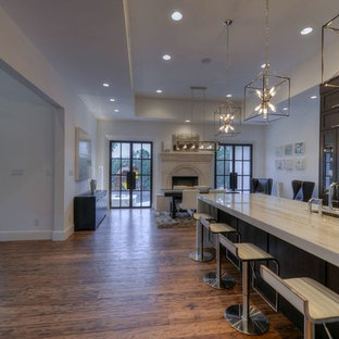 Example of a minimalist kitchen design in Austin
