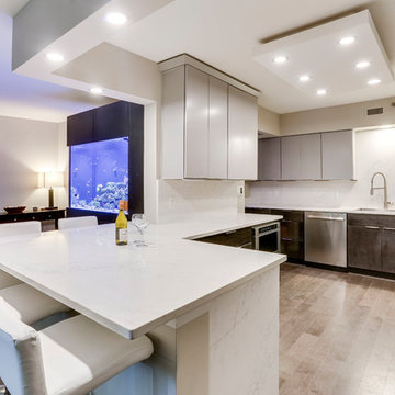 Contemporary Kitchen & Aquarium Design Falls Church, VA