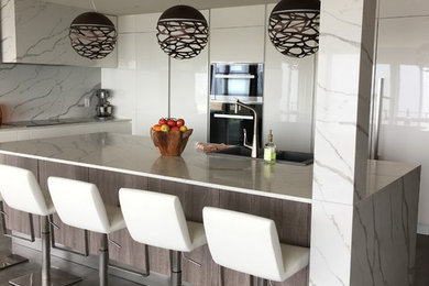 Inspiration for a contemporary kitchen remodel in San Diego
