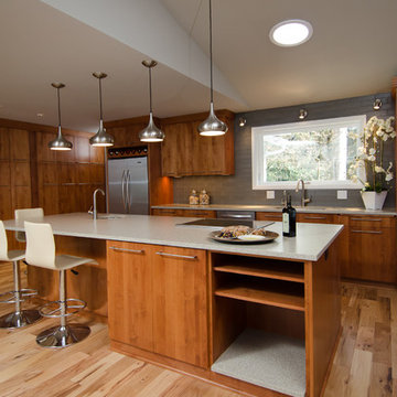 Contemporary Kitchen and Room Addition
