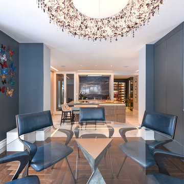 Contemporary Kitchen and Wine Cooler
