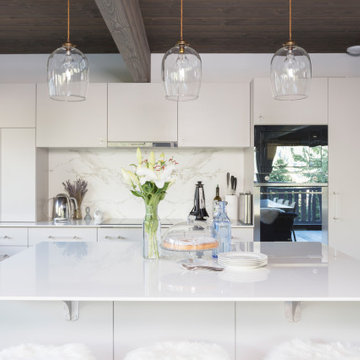 Contemporary kitchen