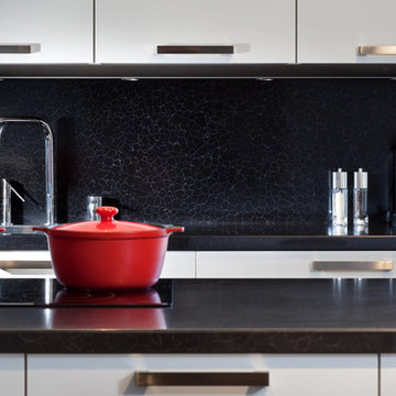 Contemporary Kitchen