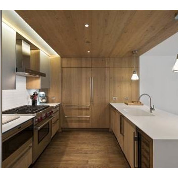Contemporary Kitchen Condo Remodeling Downtown Chicago