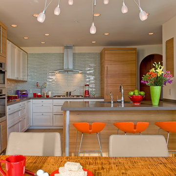 Contemporary Kitchen