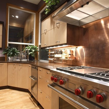 Contemporary Kitchen Design Toronto