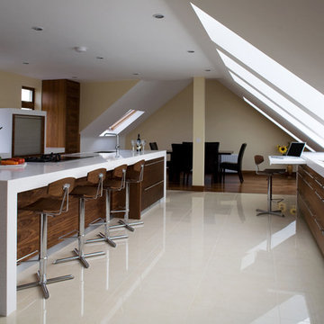 Contemporary Kitchen