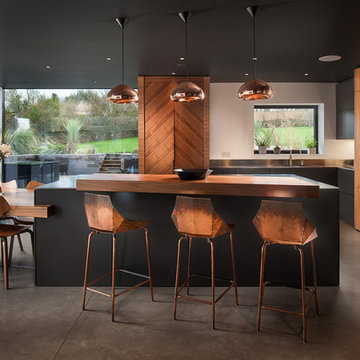 Contemporary kitchen diner: walnut, stainless steel, copper