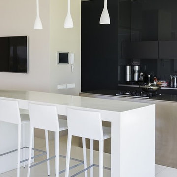 Contemporary Kitchen Gallery