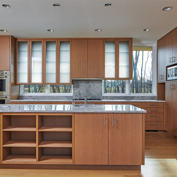 Contemporary Kitchen Glass Cabinets