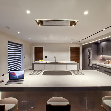 Contemporary Kitchen Grey and White