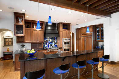 Kitchen - contemporary kitchen idea in Dallas