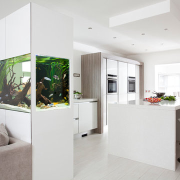 Contemporary Kitchen
