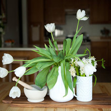 flowers & indoor plants