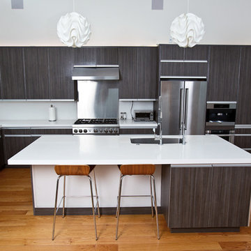 Contemporary Kitchen in Contrasting Colors with Stainless Steel Appliances
