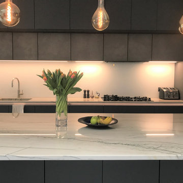 Contemporary kitchen in London