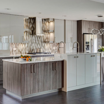 Contemporary Kitchen in Northbrook