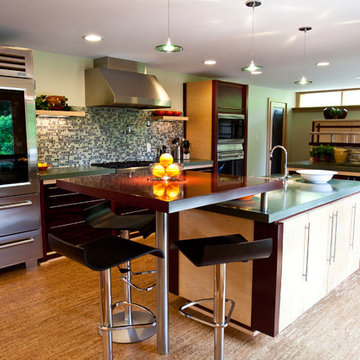 Contemporary Kitchen