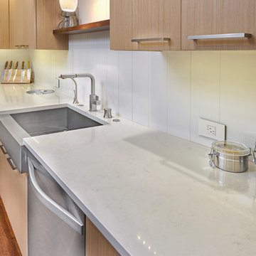 Contemporary Kitchen