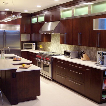 Contemporary Kitchen, Northbrook I