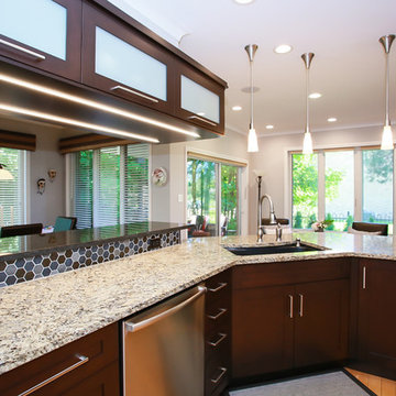 Contemporary Kitchen Refacing