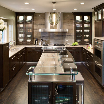 Contemporary Kitchen Remodel