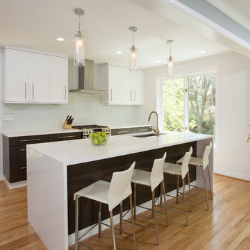 Contemporary Kitchen Remodel