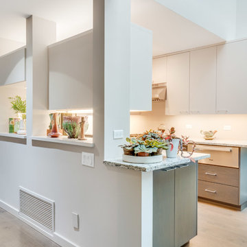 Contemporary Kitchen Remodel in Old Town, Chicago