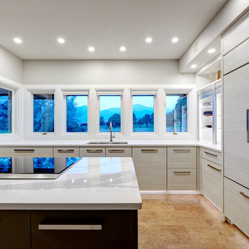 Contemporary Kitchen Remodel