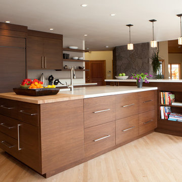 Contemporary Kitchen Remodel