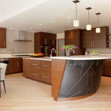Contemporary Kitchen Remodel